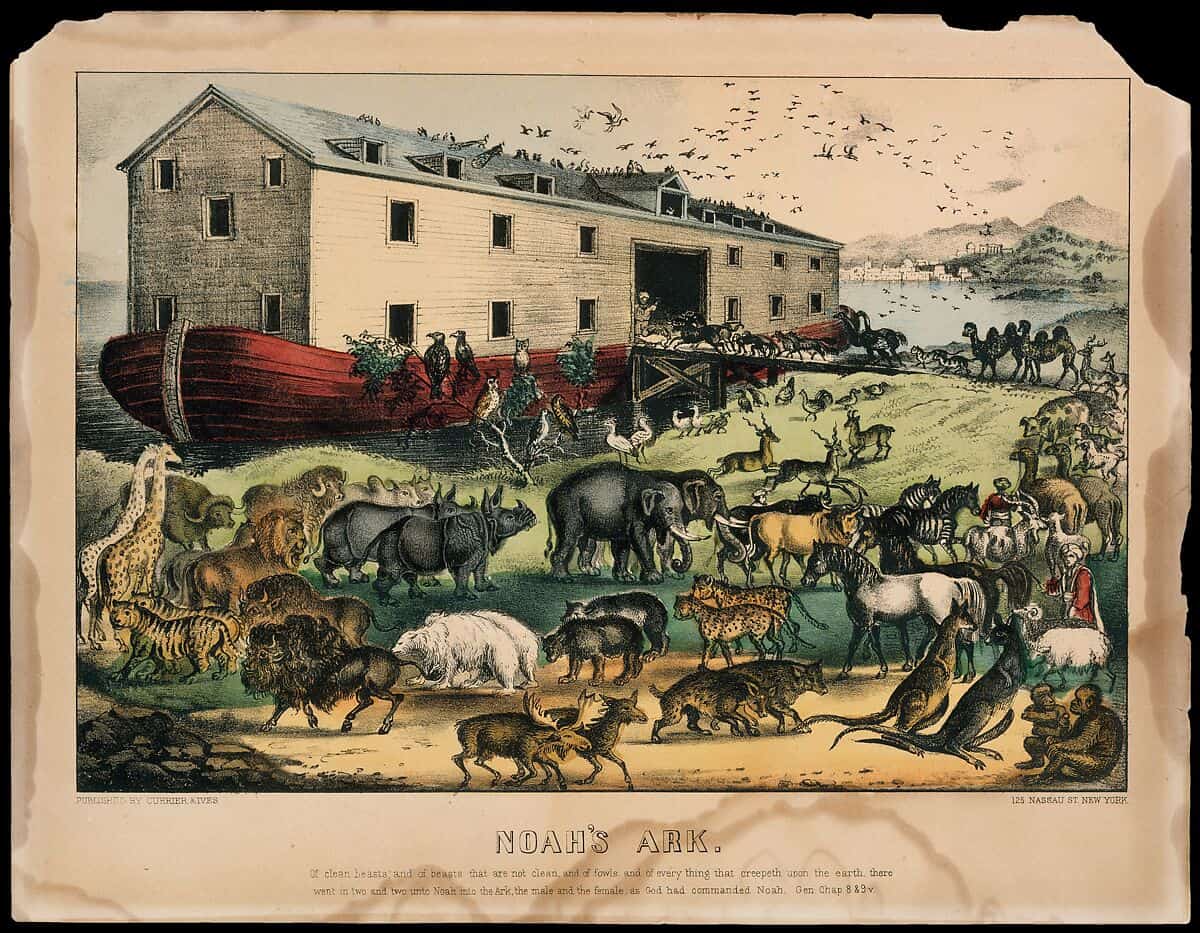 Noah's Ark