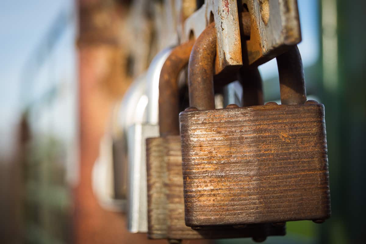 Rusted locks on a gate